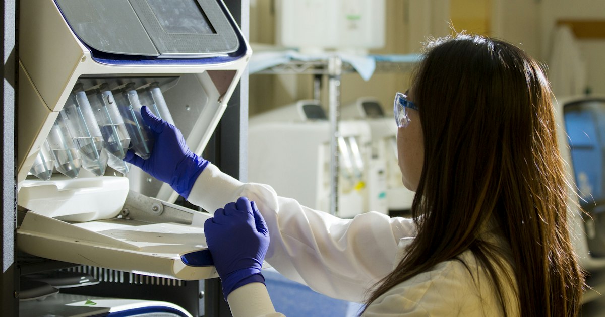 How to prepare for the 'GGT' test: rules for taking it